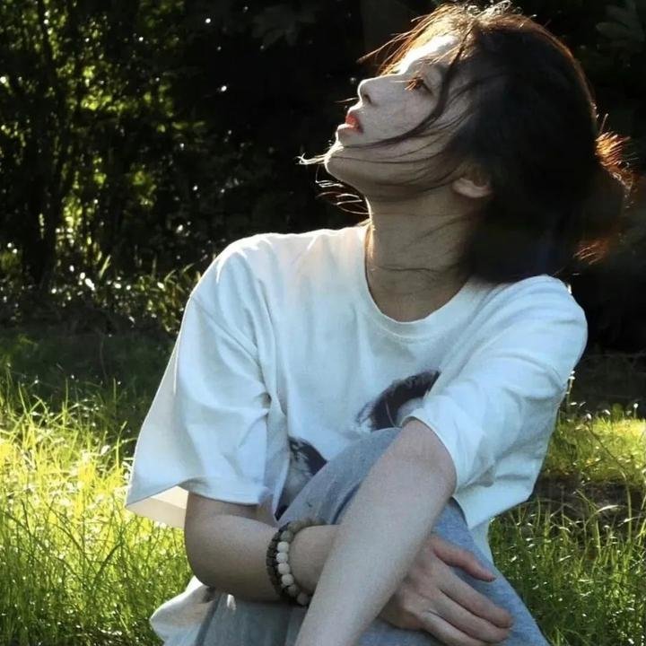 动物界海报